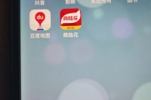 商陆花—食品供应链